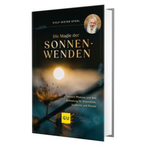 Die Magie der Sonnenwenden