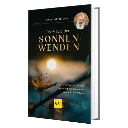 Die Magie der Sonnenwenden